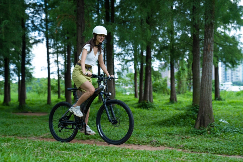 Long Range Foldable Electric Mountain Bike